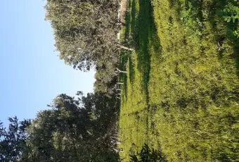 Rexer-Misiliscemi-Uliveto-con-rustico-in-Strada-Solfarello-Trapani-Terrazzo