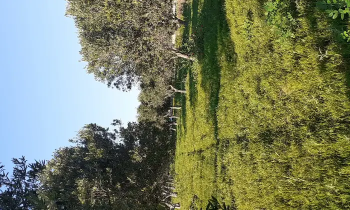 Rexer-Salinagrande-Uliveto-con-rustico-in-Strada-Solfarello-Trapani-Terrazzo