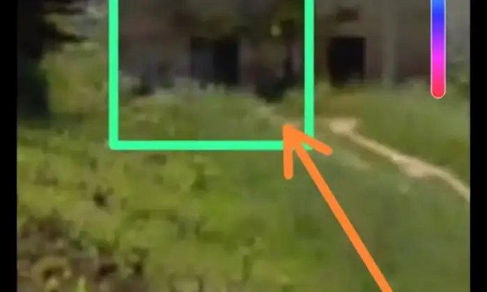 Rexer-Salinagrande-Uliveto-con-rustico-in-Strada-Solfarello-Trapani-Altro