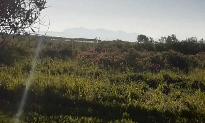 Rexer-Salinagrande-Uliveto-con-rustico-in-Strada-Solfarello-Trapani-Terrazzo