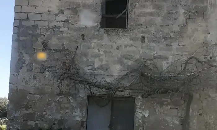 Rexer-Salinagrande-Uliveto-con-rustico-in-Strada-Solfarello-Trapani-Altro