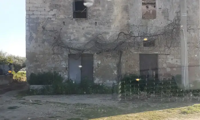 Rexer-Salinagrande-Uliveto-con-rustico-in-Strada-Solfarello-Trapani-Terrazzo