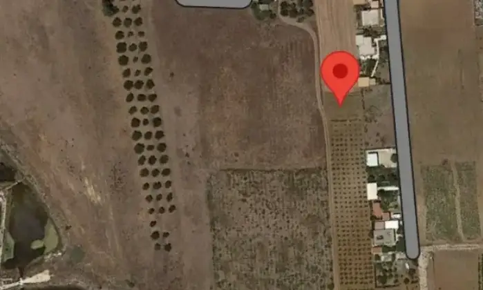 Rexer-Salinagrande-Uliveto-con-rustico-in-Strada-Solfarello-Trapani-Altro