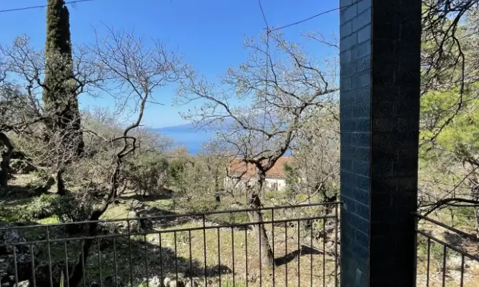 Rexer-Acquafredda-Villa-indipendente-vicina-al-bellissimo-mare-di-Maratea-Giardino