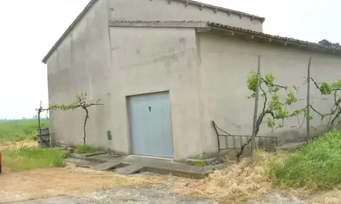 Rexer-Borgofranco-sul-Po-Casa-di-campagna-con-biolche-di-terra-capannone-Giardino