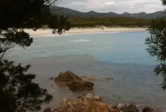 Rexer-Olbia-Villa-a-schiera-Localit-Portisco-Portisco-Olbia-Terrazzo
