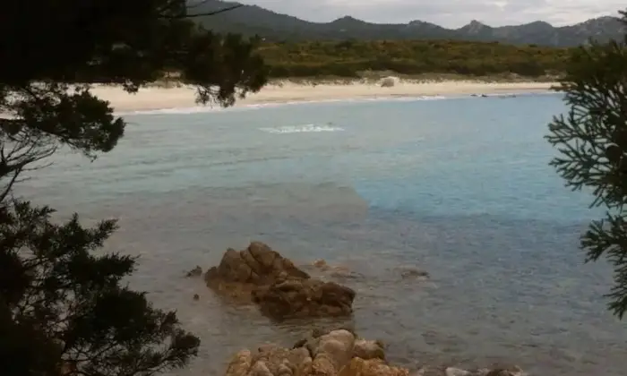 Rexer-Olbia-Villa-a-schiera-Localit-Portisco-Portisco-Olbia-Terrazzo