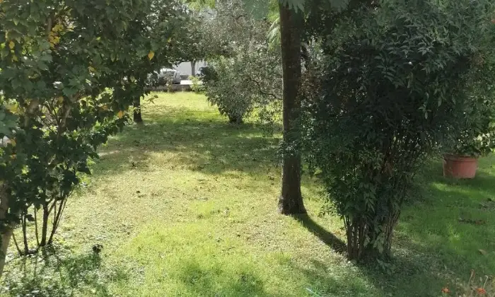 Rexer-Borgo-a-Mozzano-Vendesi-Villa-in-Localit-Pastino-Pastino-Borgo-a-Mozzano-Giardino