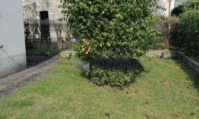 Rexer-Borgo-a-Mozzano-Vendesi-Villa-in-Localit-Pastino-Pastino-Borgo-a-Mozzano-Giardino