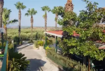 Rexer-Carlentini-Villa-in-vendita-in-localit-Localit-minnella-snc-Giardino