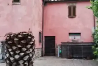 Rexer-Santa-Luce-Vendesi-rustico-terratetto-Santa-Luce-PI-Altro