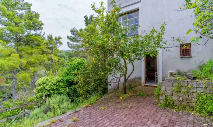 Rexer-Rodi-Garganico-Spaziosa-villa-immersa-nel-verde-tra-Rodi-Garganico-e-San-Menaio-ESTERNO