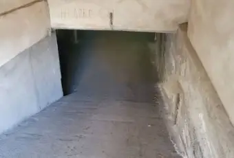 Rexer-Fiumefreddo-di-Sicilia-Quadrilocale-in-via-Regina-Margherita-Fiumefreddo-di-Sicilia-Cantina