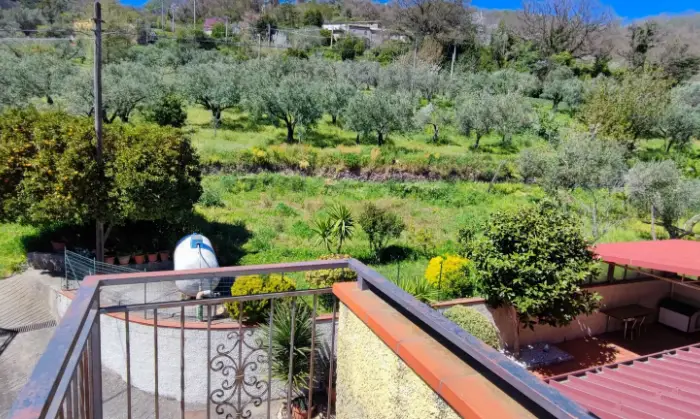 Rexer-Aiello-Calabro-Attico-Aiello-Calabro-Giardino