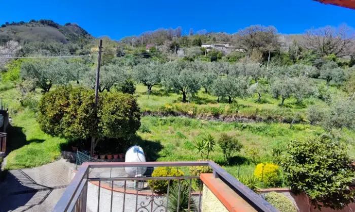 Rexer-Aiello-Calabro-Attico-Aiello-Calabro-Giardino