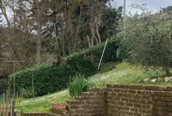 Rexer-Modigliana-Trilocale-con-giardino-e-posto-auto-Giardino