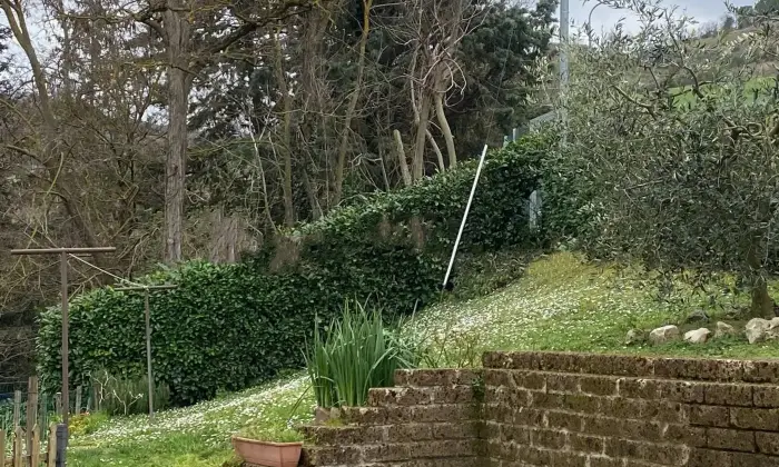 Rexer-Modigliana-Trilocale-con-giardino-e-posto-auto-Giardino