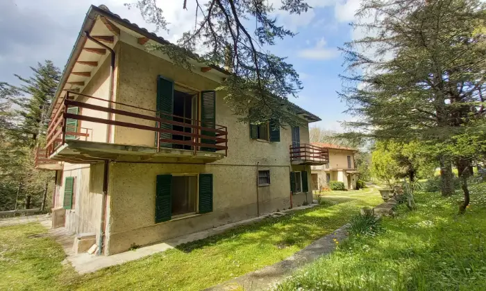 Rexer-Cagli-Tre-fabbricati-con-ampio-parco-vicino-bel-centro-storico-Marche-Giardino