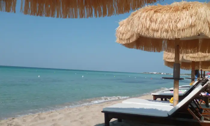 Rexer-Manduria-Affitto-casa-vacanze-per-luglio-San-PIetro-in-Bevagna-Altro