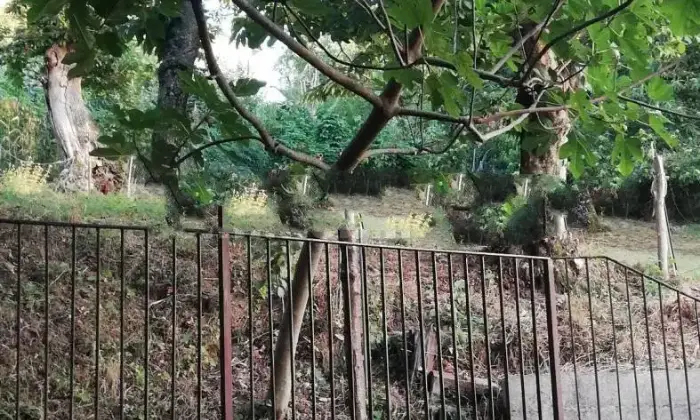 Rexer-Stio-Villa-unifamiliare-in-via-Trieste-e-Trento-a-Stio-Giardino