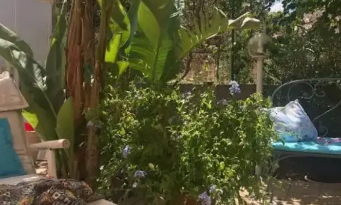 Rexer-Pollina-Residence-con-giardino-Terrazzo