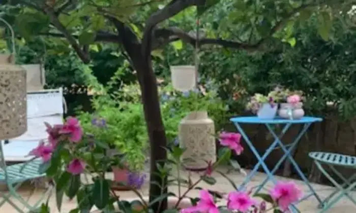 Rexer-Pollina-Residence-con-giardino-Terrazzo
