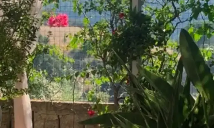 Rexer-Pollina-Residence-con-giardino-Terrazzo