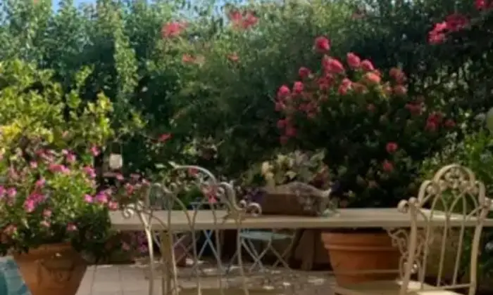 Rexer-Pollina-Residence-con-giardino-Terrazzo