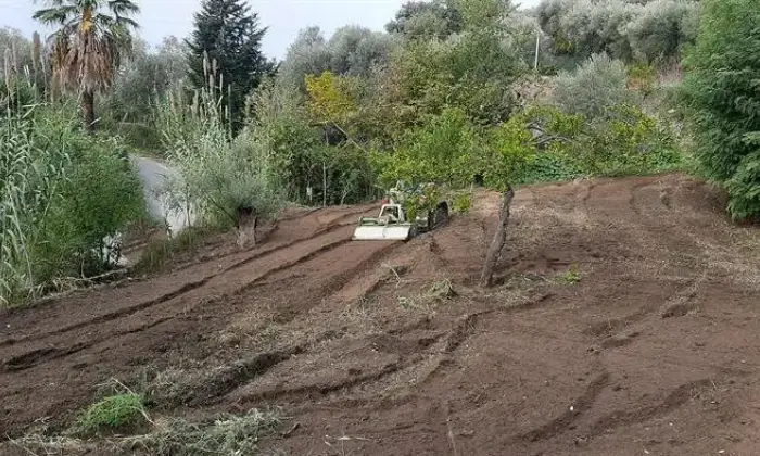 Rexer-Nicotera-Vendesi-casa-a-Comerconi-frazione-di-Nicotera-Terrazzo