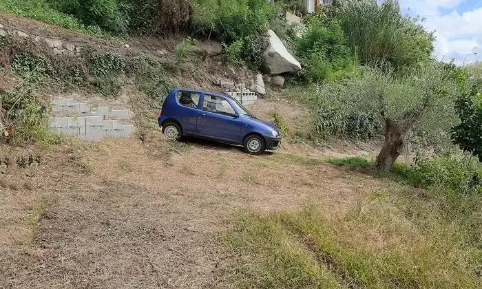 Rexer-Nicotera-Vendesi-casa-a-Comerconi-frazione-di-Nicotera-Giardino