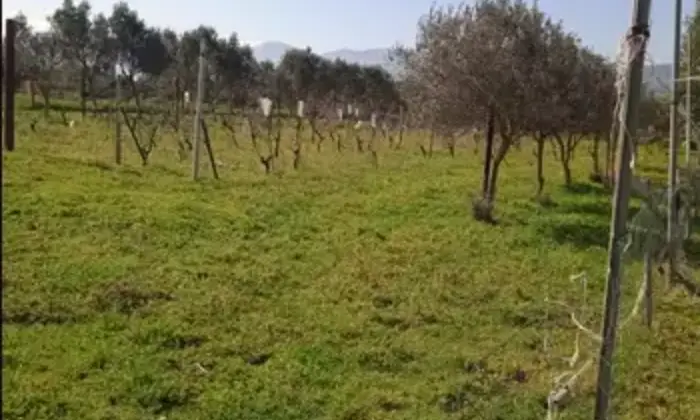Rexer-Guspini-Immobile-in-vendita-in-Localit-Corraleddu-a-Guspini-Terrazzo