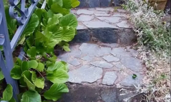 Rexer-Ponzone-Villa-Casa-indipendente-in-Frazione-Toleto-Ponzone-Scale