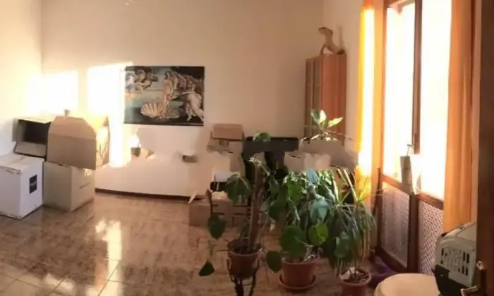Rexer-Corinaldo-Casa-colonica-Strada-dei-Tre-Camini-Corinaldo-Altro