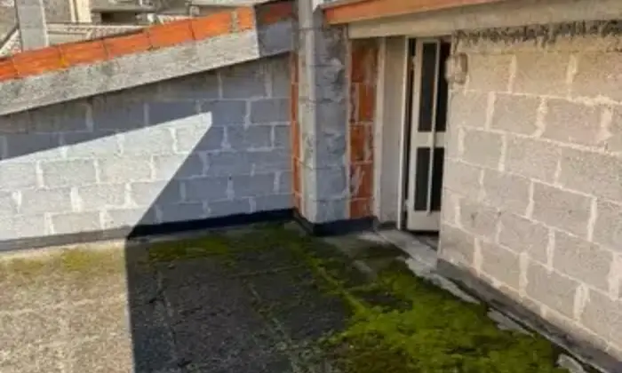 Rexer-Orani-Casa-padronale-del-su-due-livelli-pi-mansarda-Giardino