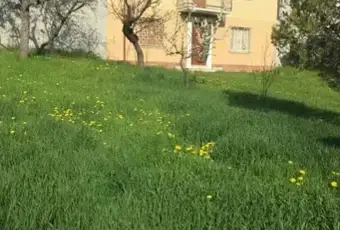 Rexer-Fabbrica-Curone-Gruppo-Rustici-in-vendita-Giardino
