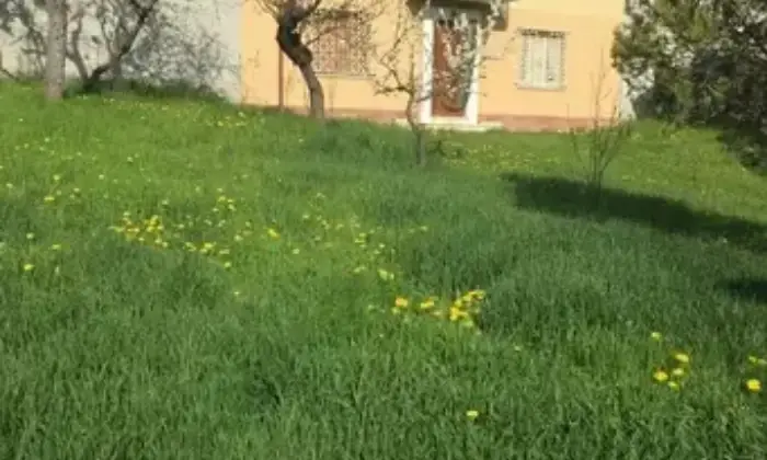 Rexer-Fabbrica-Curone-Gruppo-Rustici-in-vendita-Giardino