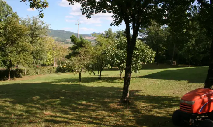 Rexer-Bibbiena-Splendida-villa-su-tre-livelli-con-ampio-parcogiardino-GIARDINO