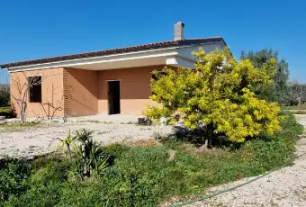 Rexer-Troia-Villetta-da-completare-con-giardino-e-oliveto-Terrazzo
