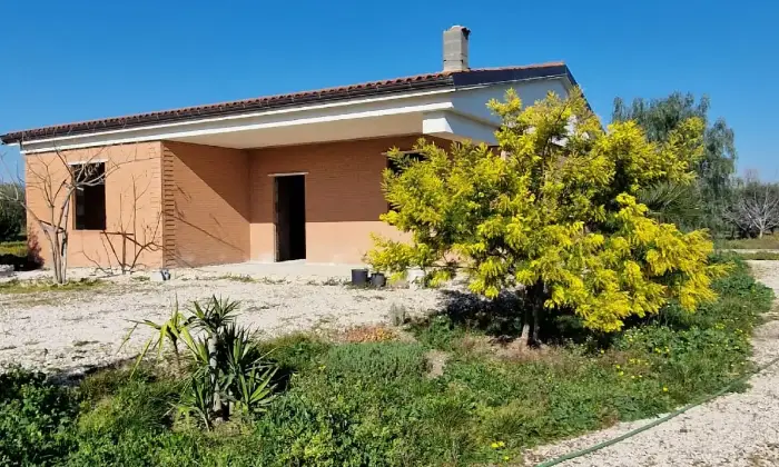 Rexer-Troia-Villetta-da-completare-con-giardino-e-oliveto-Terrazzo