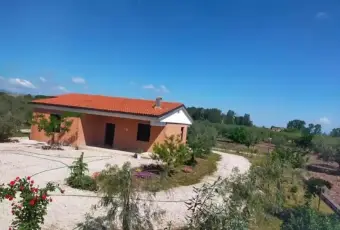 Rexer-Troia-Villetta-da-completare-con-giardino-e-oliveto-Terrazzo