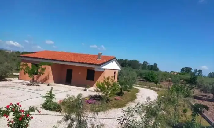 Rexer-Troia-Villetta-da-completare-con-giardino-e-oliveto-Terrazzo