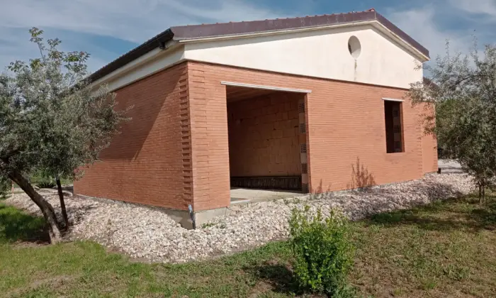 Rexer-Troia-Villetta-da-completare-con-giardino-e-oliveto-ALTRO