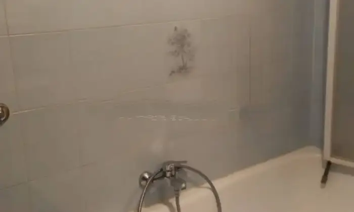 Rexer-Zagarolo-Vendesi-appartamento-in-via-Valle-del-Formale-Centro-Zagarolo-Bagno