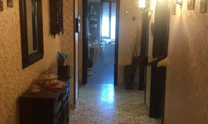 Rexer-San-Vito-Romano-Trilocale-viale-Pietro-Baccelli-San-Vito-Romano-Altro