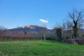 Rexer-Casola-Valsenio-Casale-da-ristrutturare-m-Valsenio-Casola-Valsenio-Terrazzo