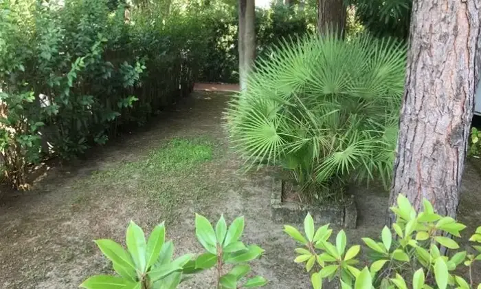 Rexer-Cervia-Villa-a-schiera-viale-Damiano-Chiesa-Milano-Marittima-Cervia-Giardino