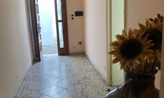 Rexer-Castri-di-Lecce-Immobile-A-con-corte-e-volte-a-stella-a-CASTRI-DI-LECCE-Cantina