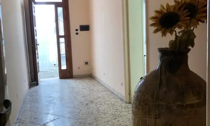 Rexer-Castri-di-Lecce-Immobile-A-con-corte-e-volte-a-stella-a-CASTRI-DI-LECCE-Cantina