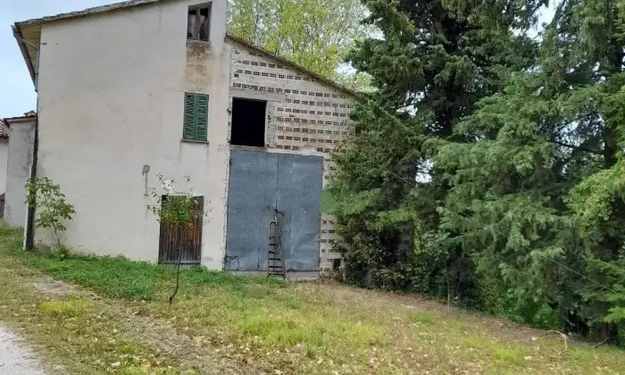 Rexer-Cagli-Vendesi-Casale-Strada-Ca-Rio-Cagli-Giardino