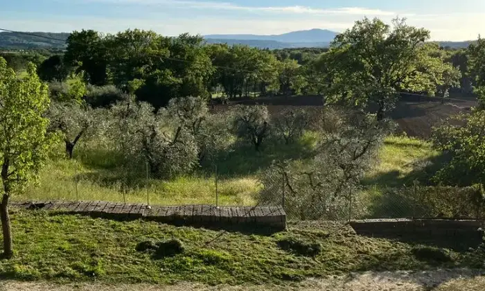 Rexer-Narni-CasaIndipendente-in-Strada-di-Massa-Narni-Altro